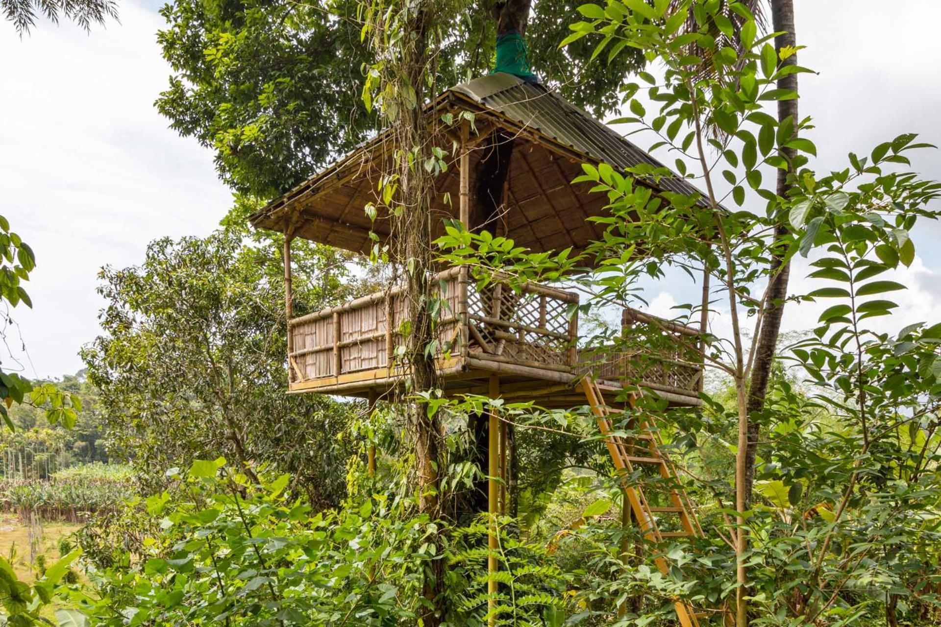 מאננטהוואדי Serene Valley Resort Wayanad מראה חיצוני תמונה